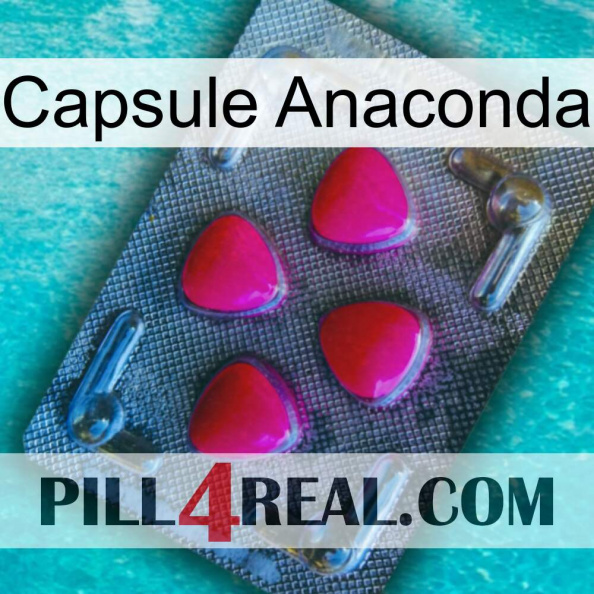 Anaconda Capsule 13